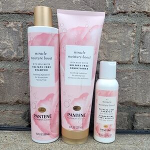 Pantene Shampoo and Conditioner Set.